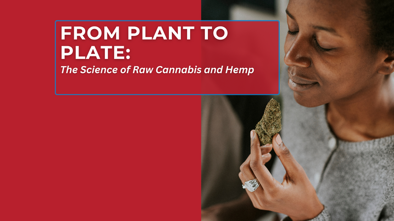 From Plant to Plate: The Science of Raw Cannabis and Hemp