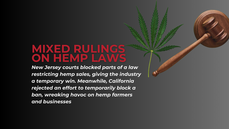 Hemp Industry Crossroads Two Court Rulings That Could Shape Its Future